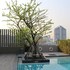 alix bangkok hotel