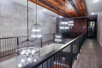 the chic lipe hostel