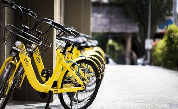 the chic lipe hostel