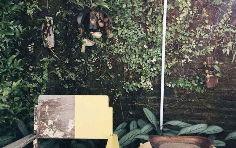 concept yard chiangrai adults only hostel