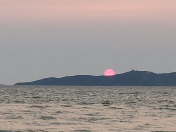 pattaya
