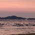 pattaya