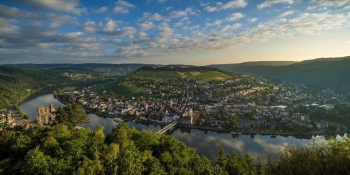 goldene traube by neugart