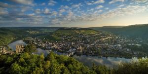 goldene traube by neugart