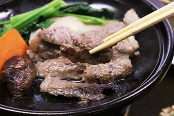 nasushiobara