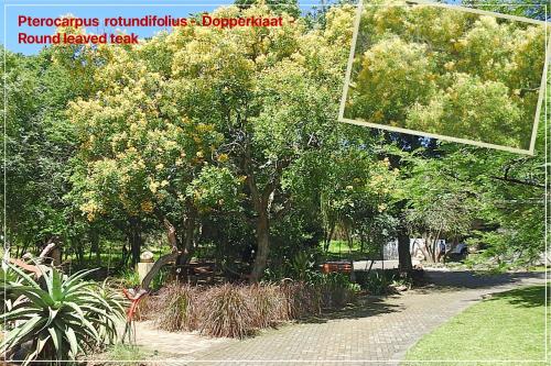 birds babble self catering guest house