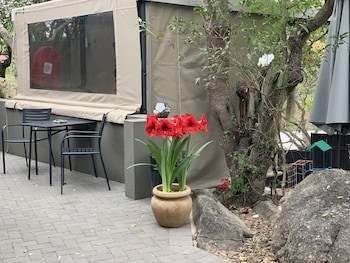 birds babble self catering guest house