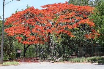 birds babble self catering guest house