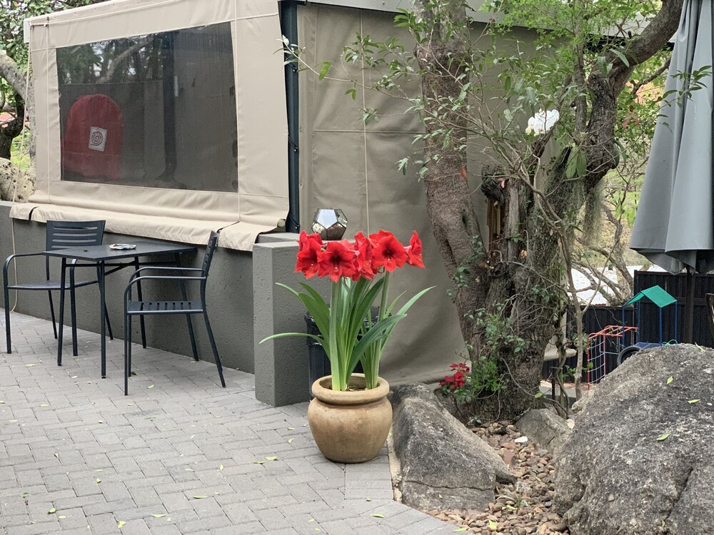 birds babble self catering guest house