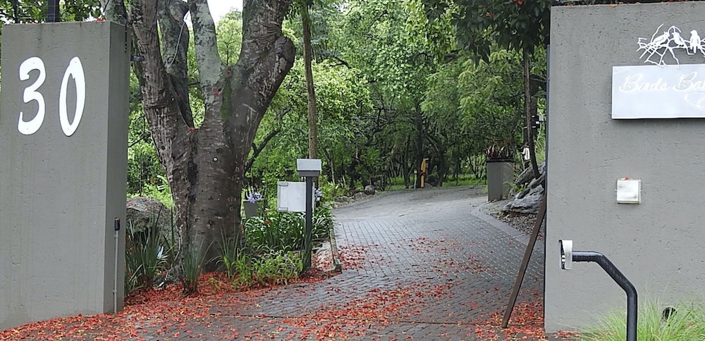 birds babble self catering guest house