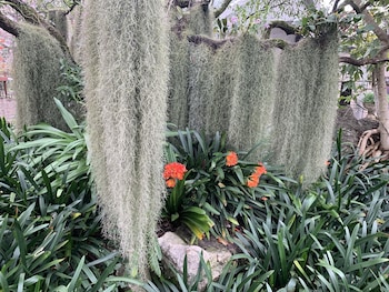 birds babble self catering guest house