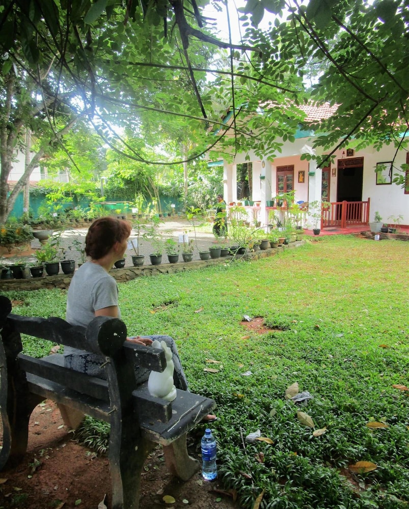green herbal ayurvedic eco lodge