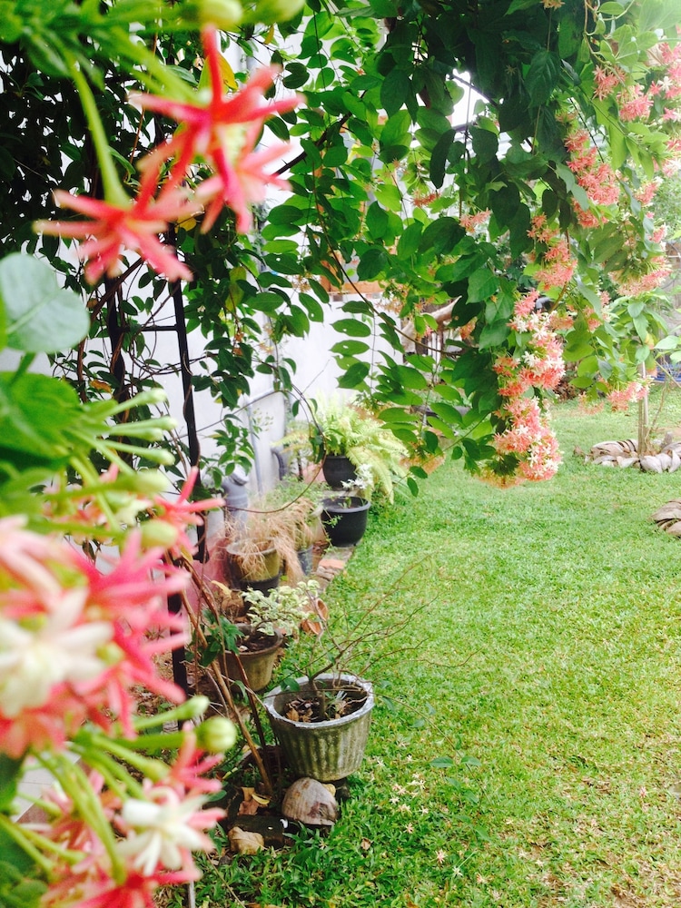 manik home stay