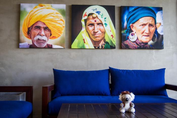 lazy koala hostel adults only