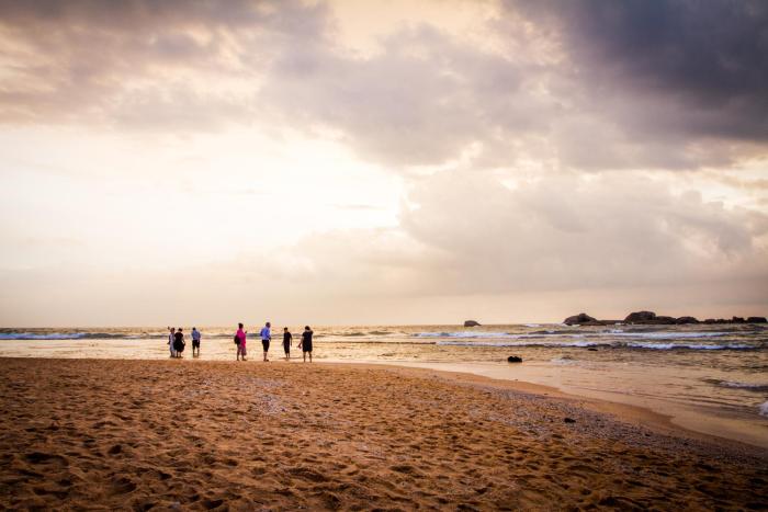 lazy koala hostel adults only