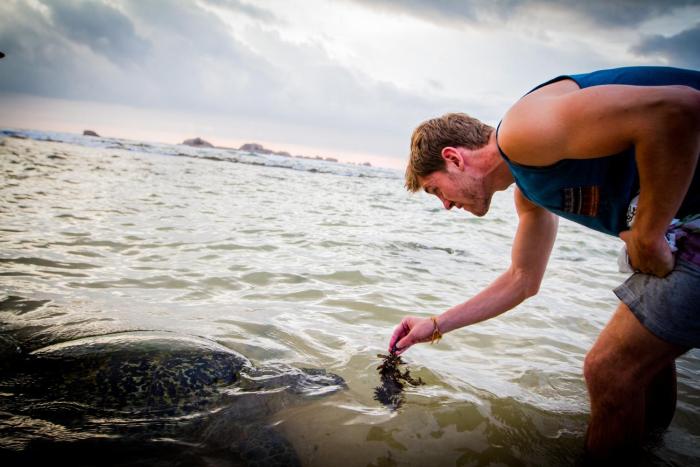 lazy koala hostel adults only