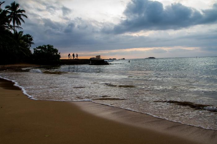 lazy koala hostel adults only