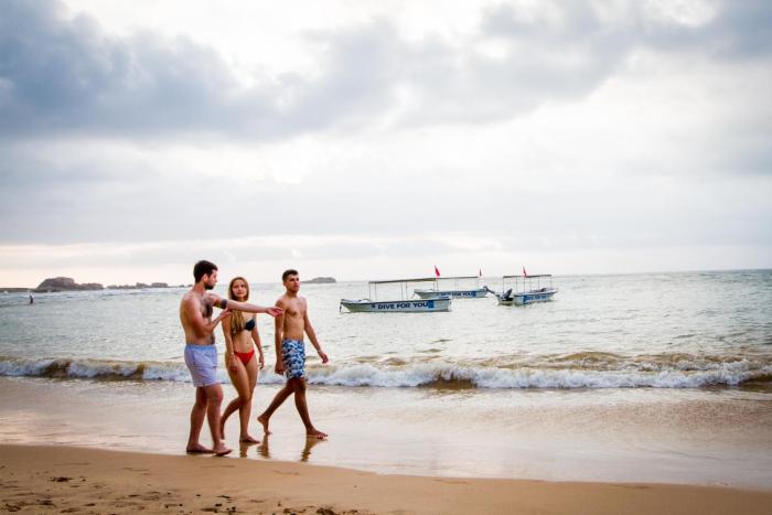 lazy koala hostel adults only