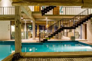 lazy koala hostel adults only