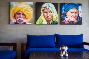 lazy koala hostel adults only