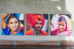 lazy koala hostel adults only