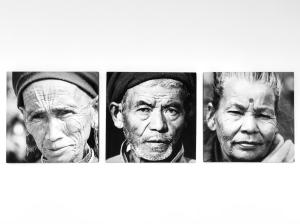 lazy koala hostel adults only