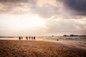 lazy koala hostel adults only