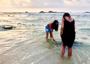 lazy koala hostel adults only