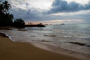 lazy koala hostel adults only