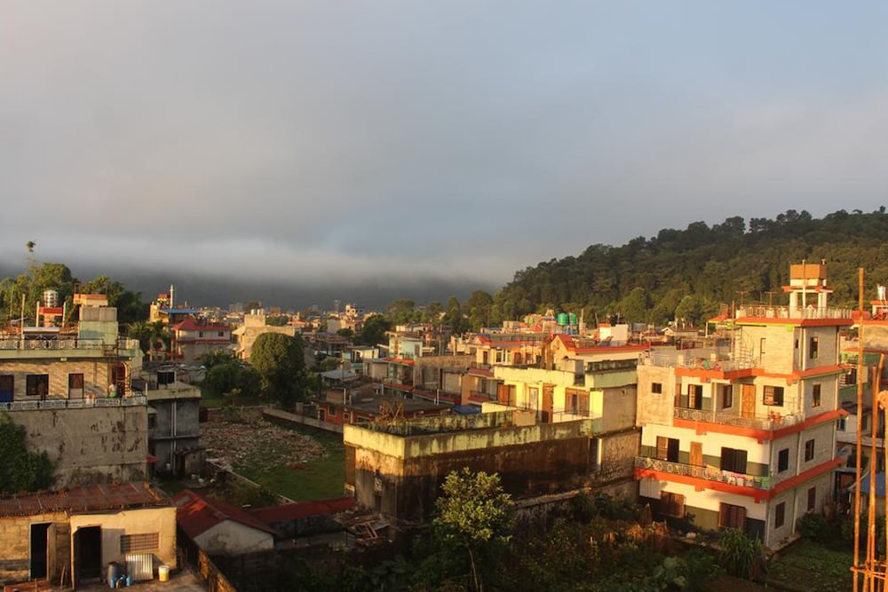 goldenbirds homestay