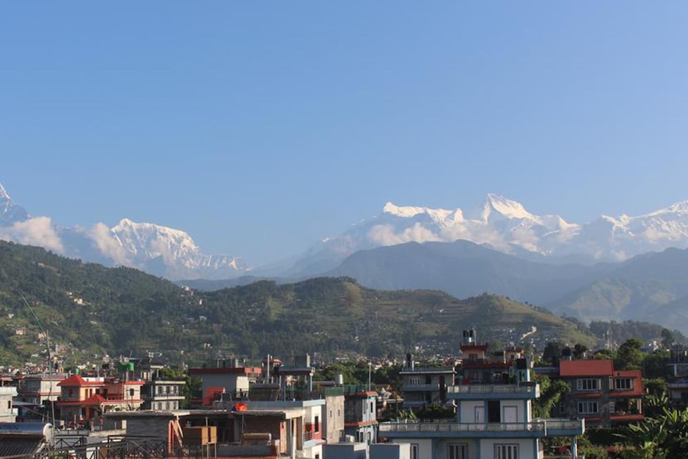 goldenbirds homestay