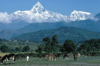 Pari Homestay,Kathmandu Valley>>Kathmandu,3 star