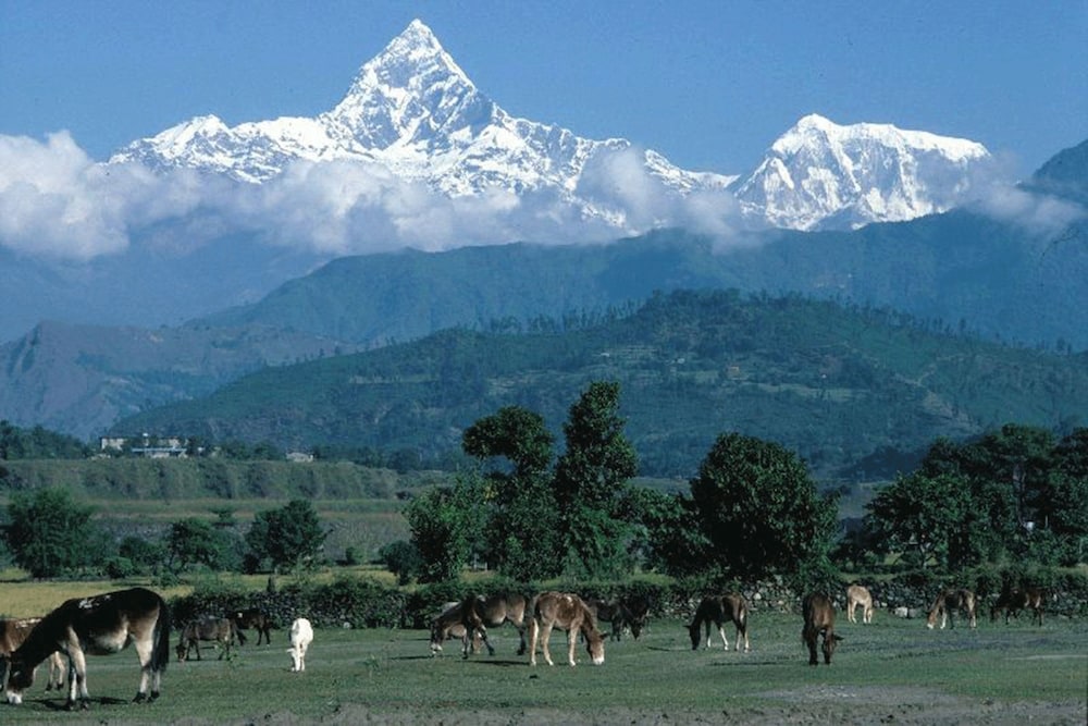 kathmandu