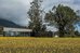 Futangue Hotel & Spa,Chile>>Lago Ranco,3.5 star
