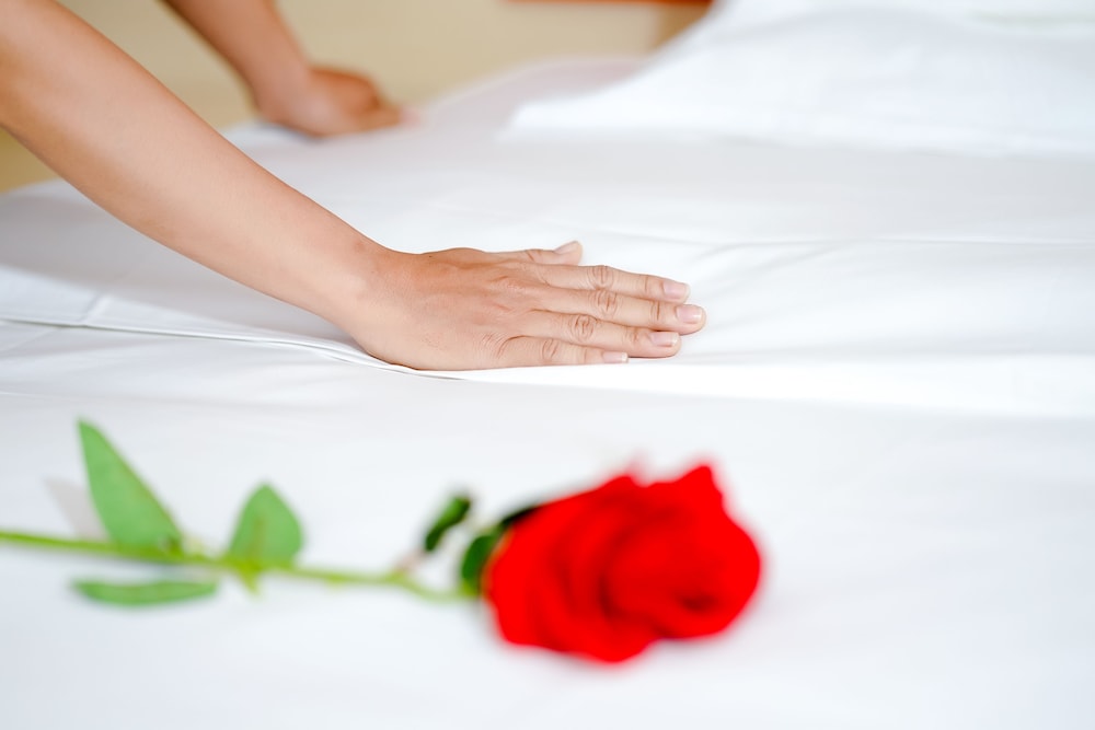 7 days premium hotel