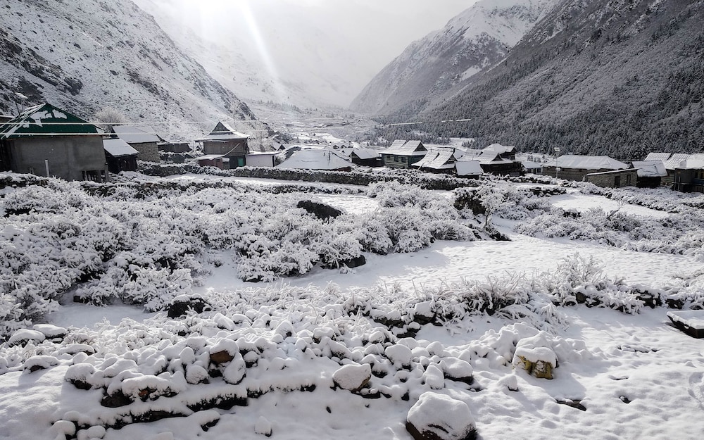chitkul