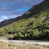 chitkul