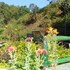 corbett mist resort