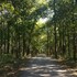 corbett mist resort
