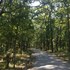 corbett mist resort