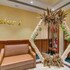 hotel home in by amrik sukhdev