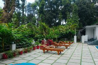 tree blanche munnar