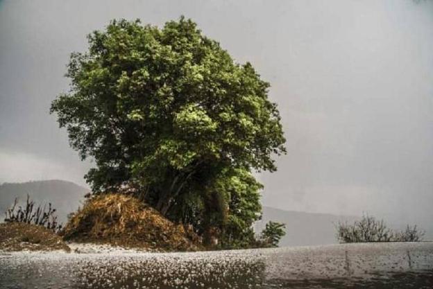 mountain view resort