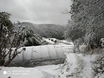 mountain view resort