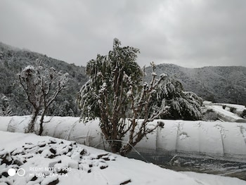 mountain view resort