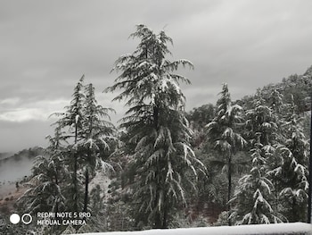 mountain view resort