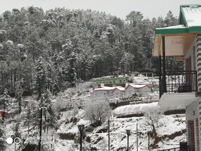mountain view resort