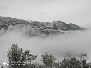 mountain view resort