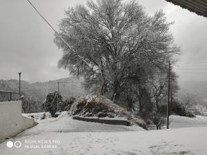 mountain view resort