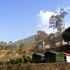nainital